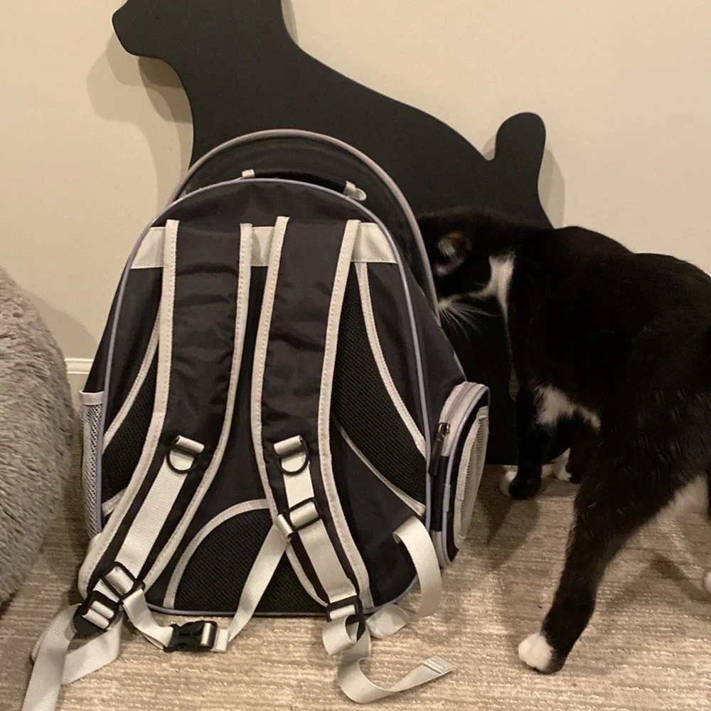 Cat bubble backpack